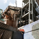 Roma Norte, en Ciudad de México. (Foto: Marco Ugarte / AP Images).
